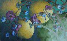 Spores